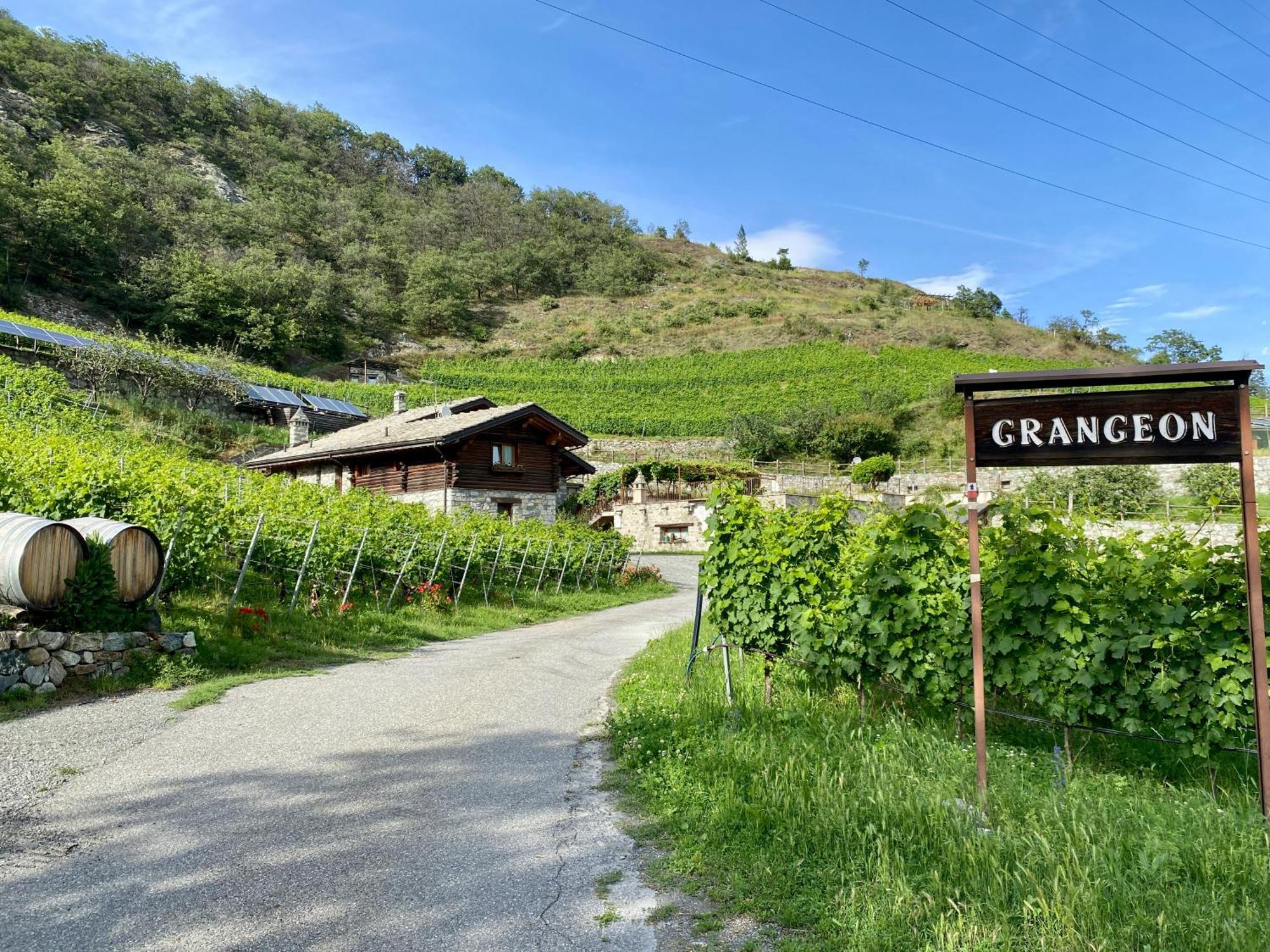 La Vrille - Chambres D'Hotes Verrayes Exterior foto